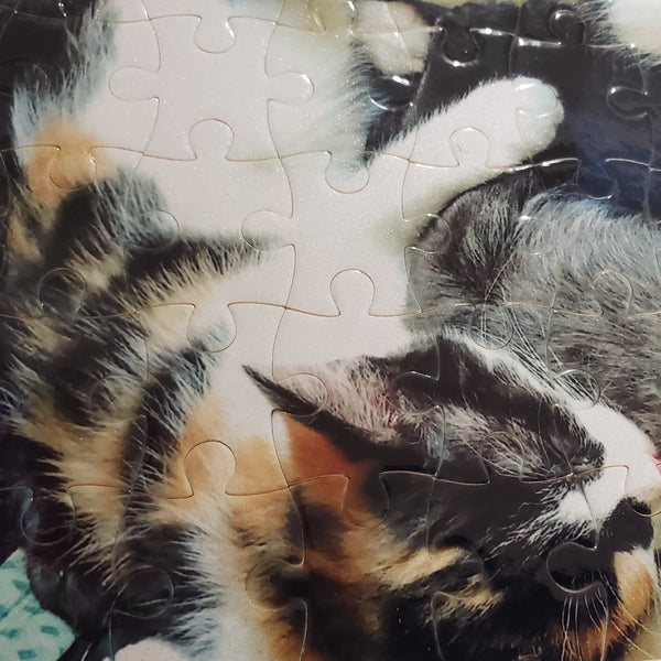 Jigsaw Puzzle - 120 Pieces - Free Shipping!